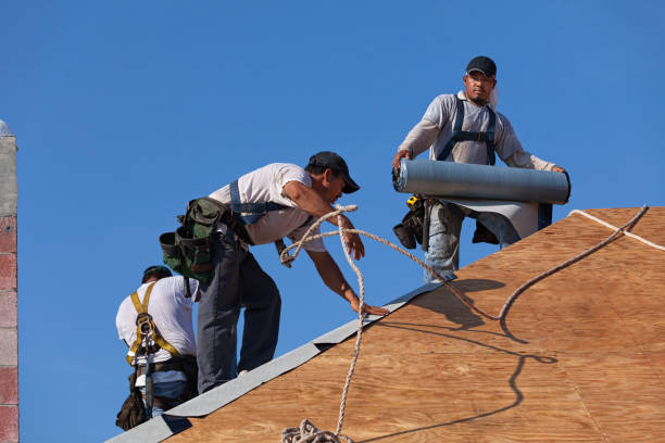 Best Roof Repair Services  in Steelevle, IL