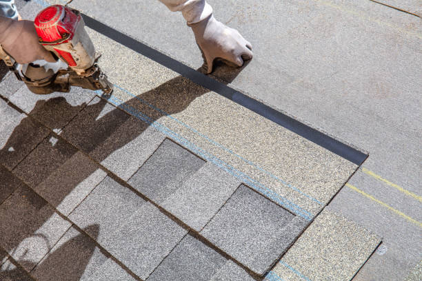 Professional Roofing Contractor in Steeleville, IL